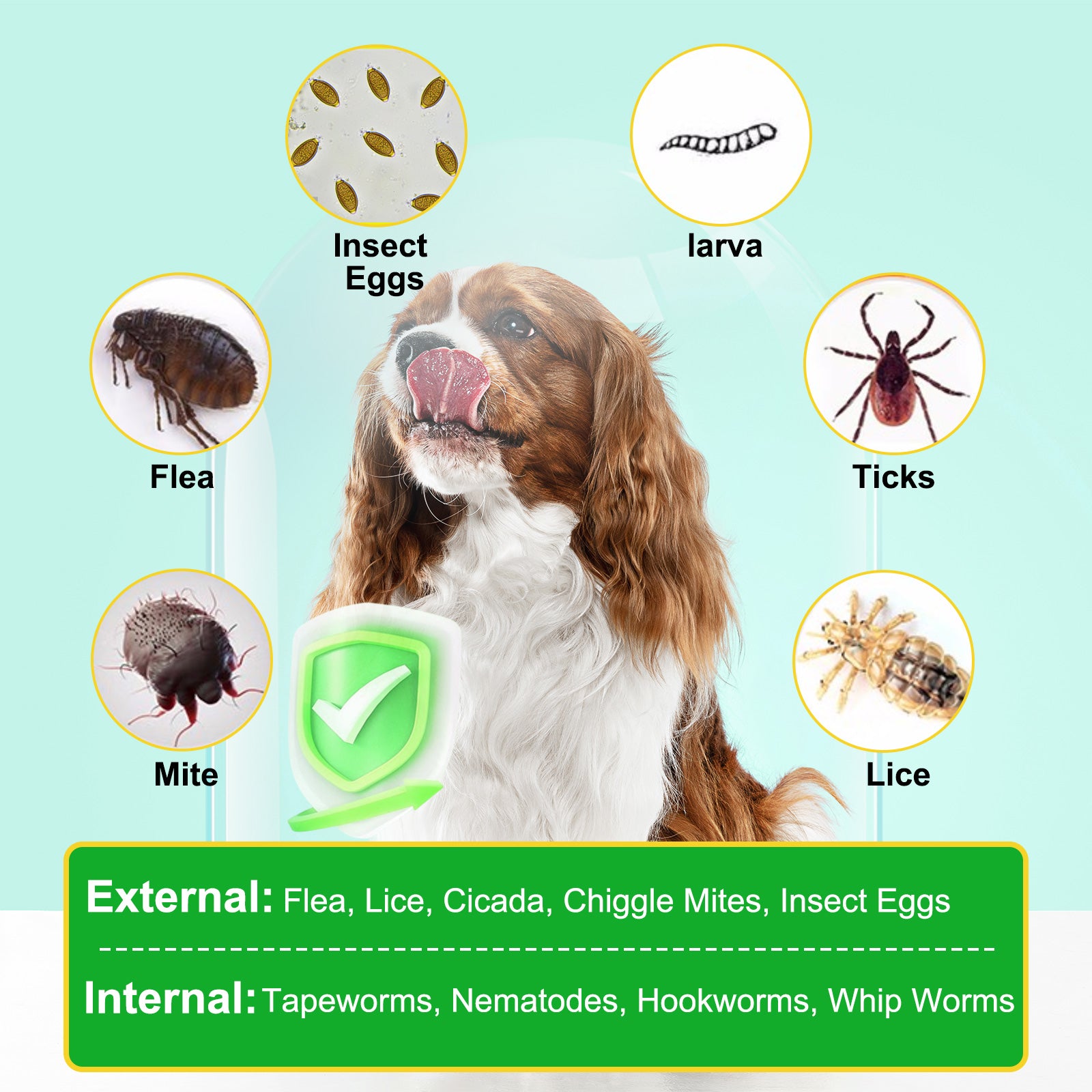 10_092857dd-f57c-4670-8706-dc0ba0a42565.jpg
