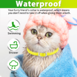 1_04c2c154-d367-4d7f-88d9-f025d8560755.png