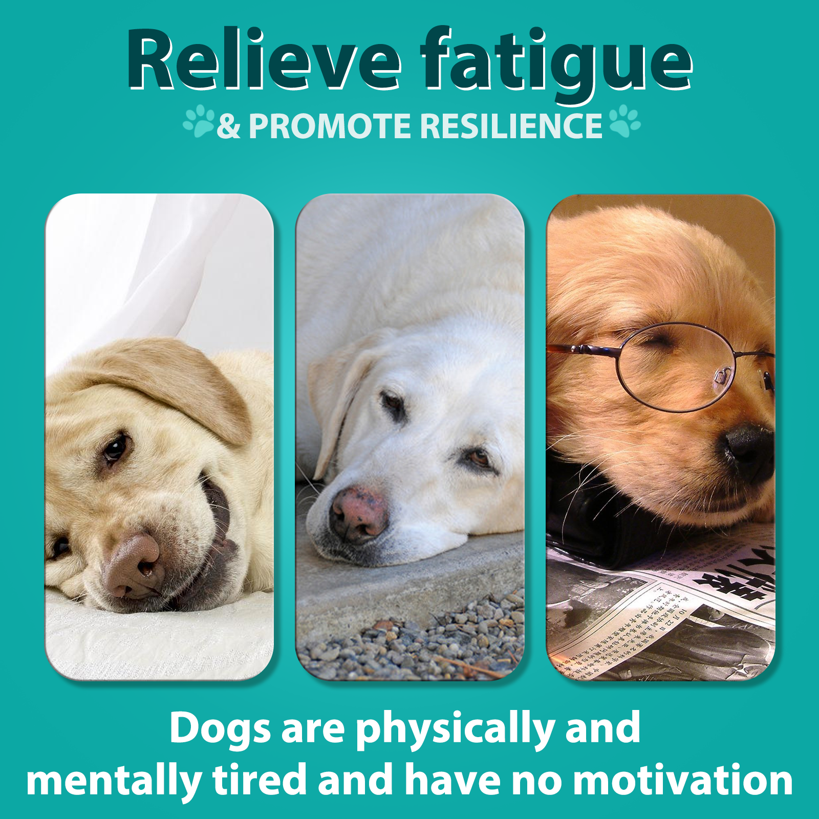 12_1c1a26a7-4795-4dbf-8e73-1bdf459e6d04-1.png