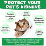 9_updated_updated.jpg