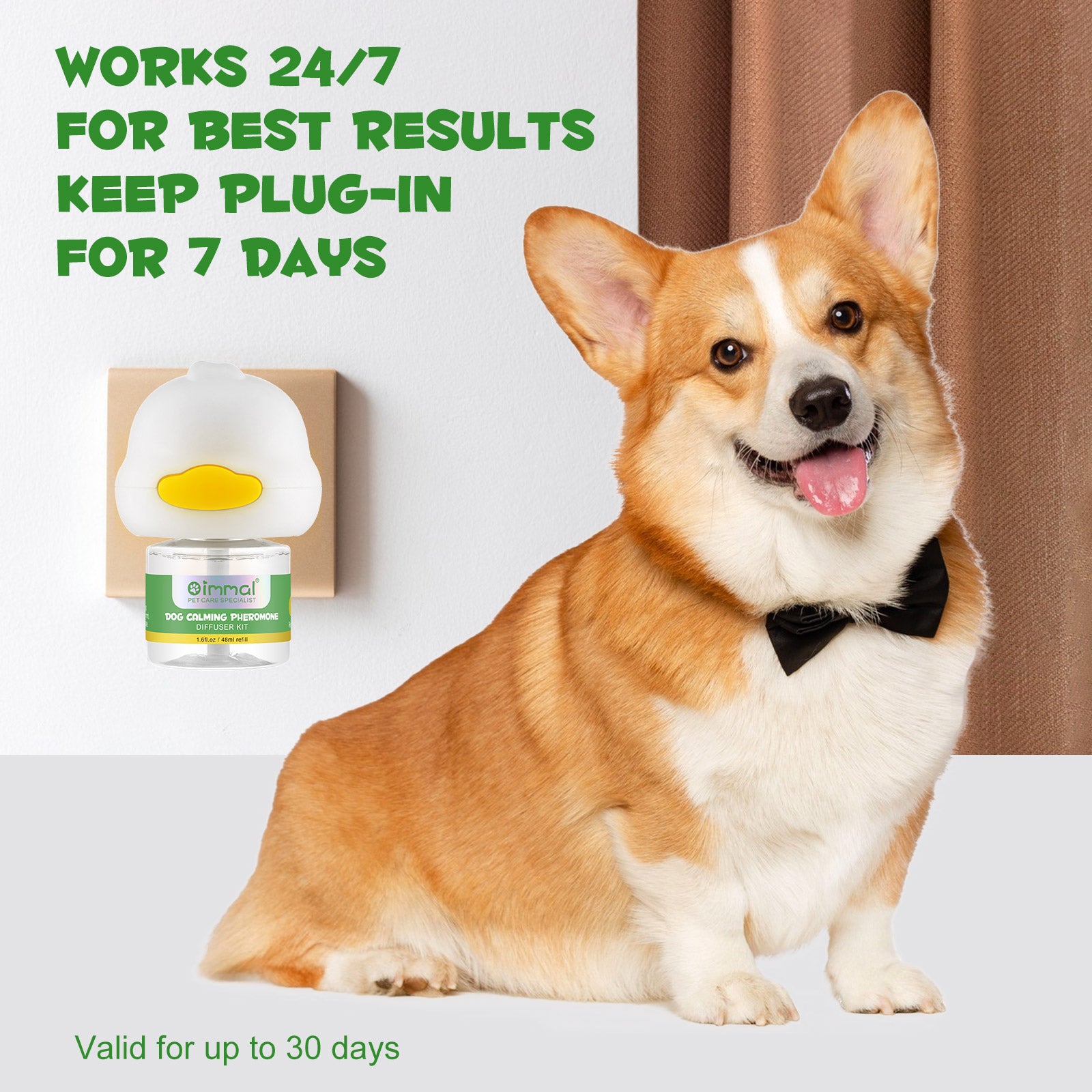 13_43662b9c-d168-4e4c-93fc-9acbaba77f7d.jpg