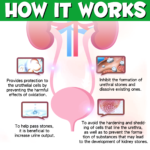 8_b08eb526-0057-4153-a085-6e7b58a2ccf4.png