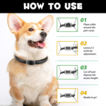1_5ef4ab36-f28d-42a6-bde6-32422689a50d.png