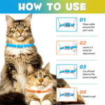1_dfd33908-a95a-4378-99c4-564f9549f5b8.png