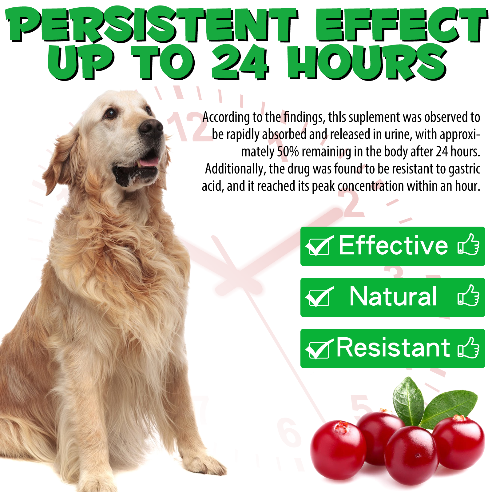 14_78b8057b-5c9e-47b0-a3c7-9a562253ac8b-1.png