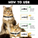 1_3ec8c225-1a39-4629-bd71-239e0fee6bea.png