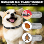 1_5ef4ab36-f28d-42a6-bde6-32422689a50d.png