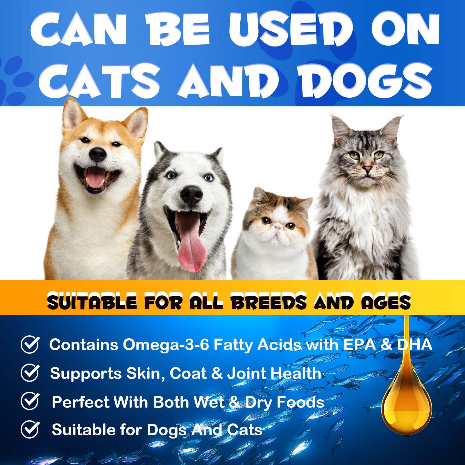 16_Updated_6d54f878-974b-4081-9164-c3c971dd1fa9.jpg