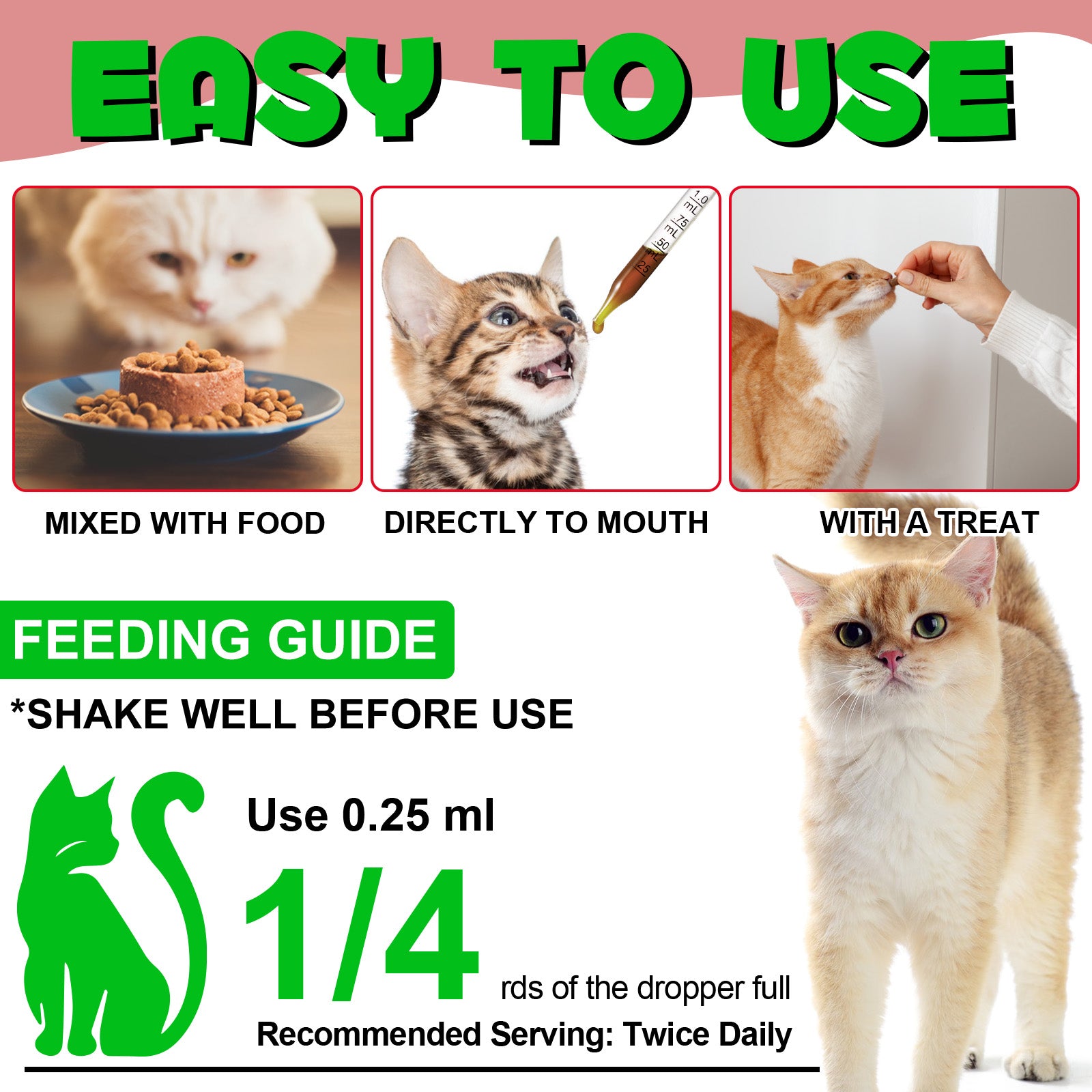 1_Updated_118d820b-06fa-4076-91be-d42c86dca254.jpg