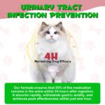 2_74b32e1a-2c61-4927-9201-7f11fda197b5.png