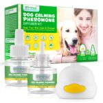 Oimmal-_4.jpg