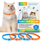 1_dfd33908-a95a-4378-99c4-564f9549f5b8.png