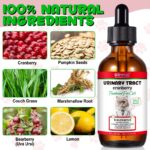 2_74b32e1a-2c61-4927-9201-7f11fda197b5.png
