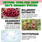 2_74b32e1a-2c61-4927-9201-7f11fda197b5.png