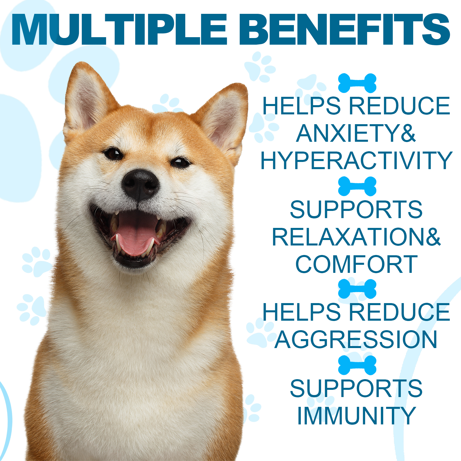 8_e91bdd0f-2863-4f2d-ba7e-aa6489693fd2-1.png