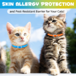 1_dfd33908-a95a-4378-99c4-564f9549f5b8.png