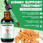 Oimmal Kidney Support for Cats - 2Pack