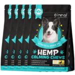 Oimmal Hemp Calming Chews - 60 Chews / Duck Flavor - 5 Packs